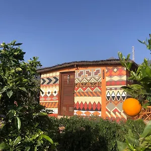 Afrikan Krisant Tenerife, Ecologica Arafo